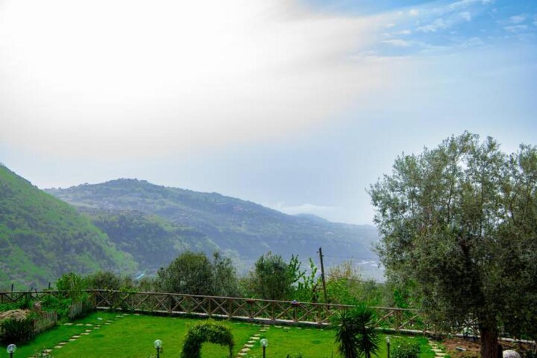 Villa Aurora Oasi Verde Sorrento Exteriör bild